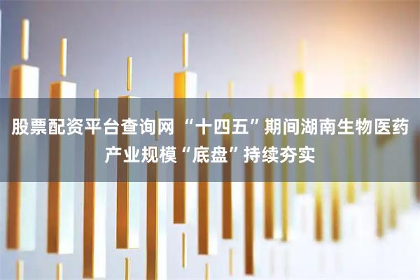 股票配资平台查询网 “十四五”期间湖南生物医药产业规模“底盘”持续夯实