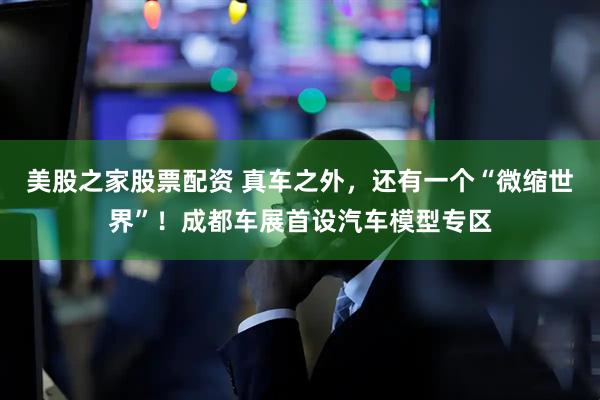 美股之家股票配资 真车之外，还有一个“微缩世界”！成都车展首设汽车模型专区